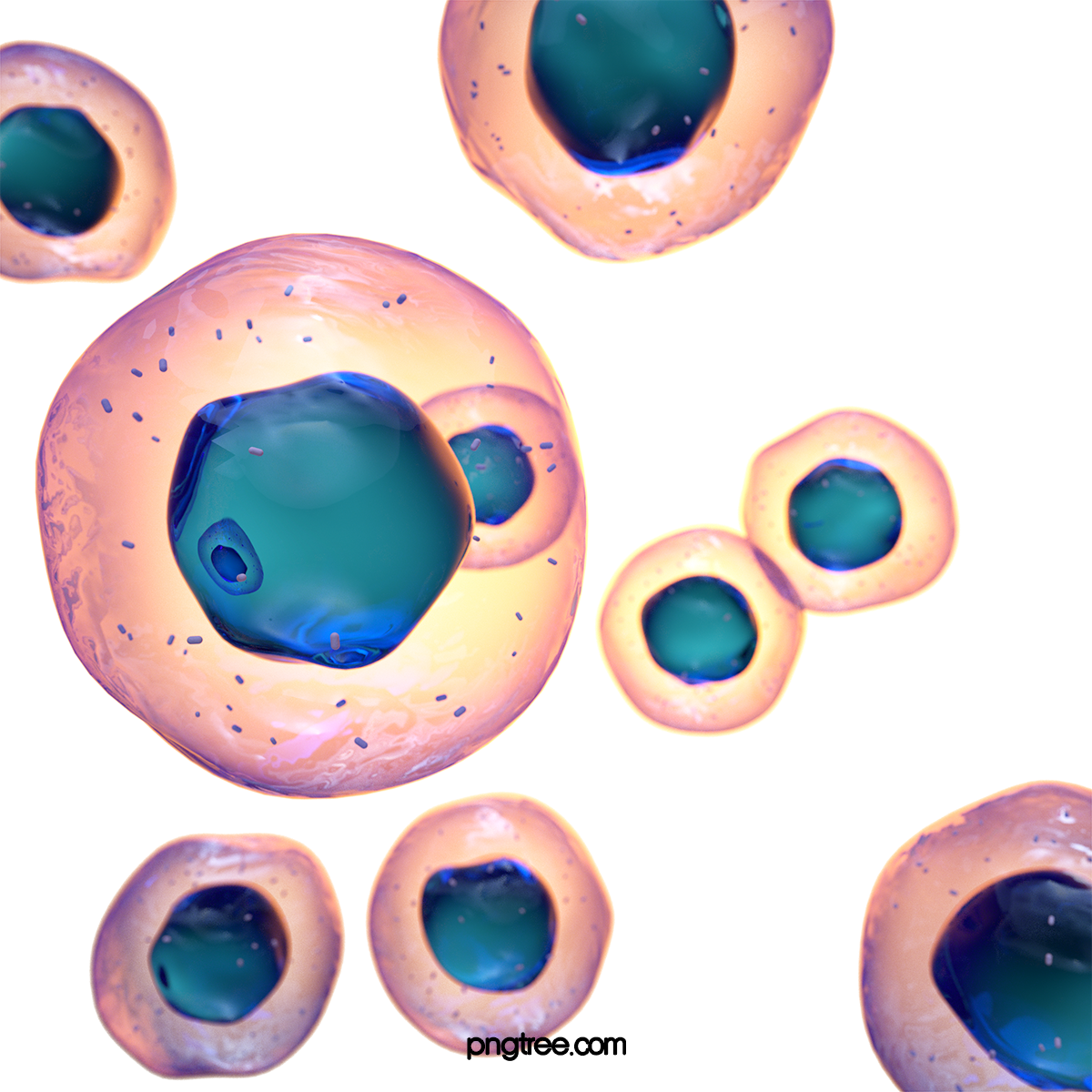 —Pngtree—cell 3d element under the 5337699