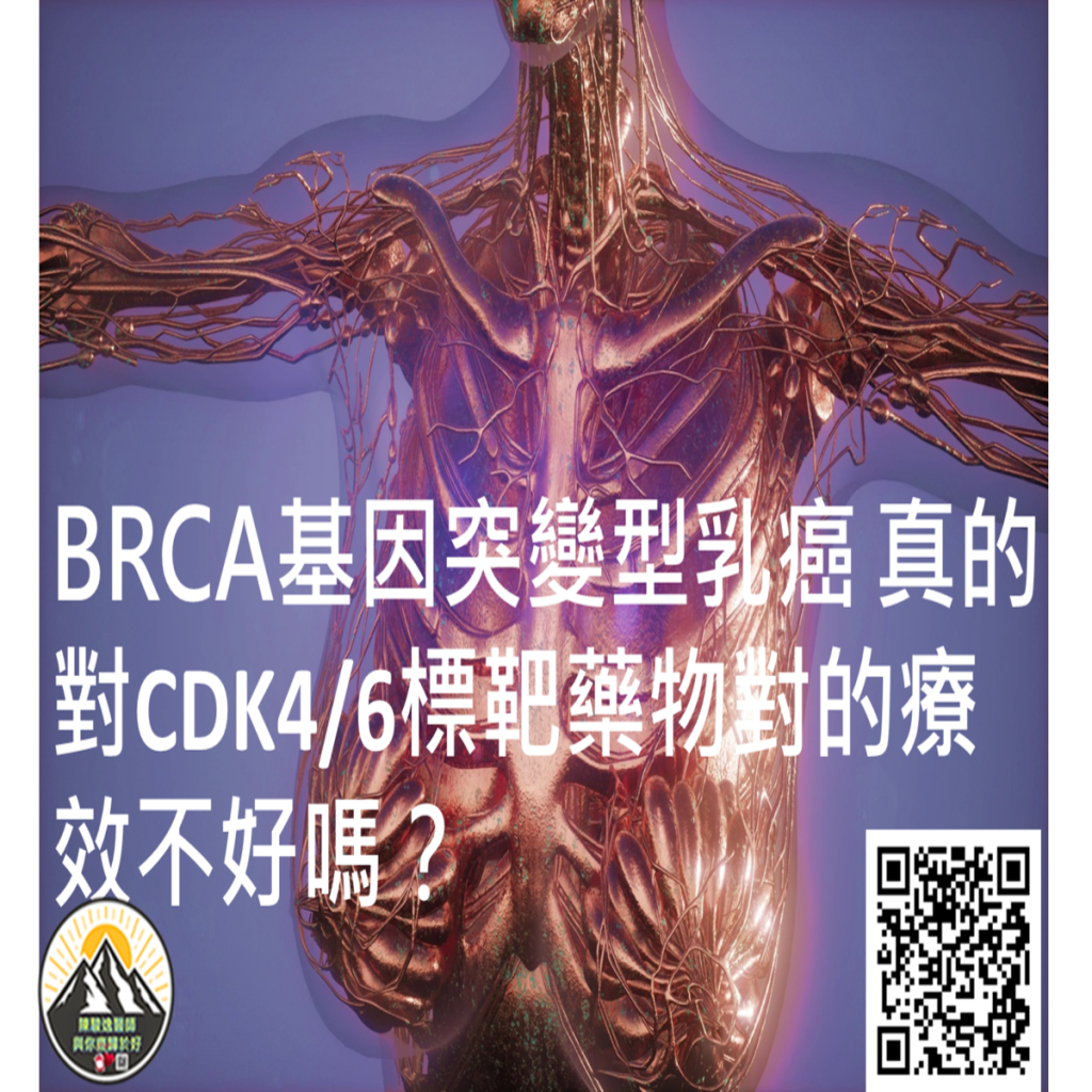 2025033102 1