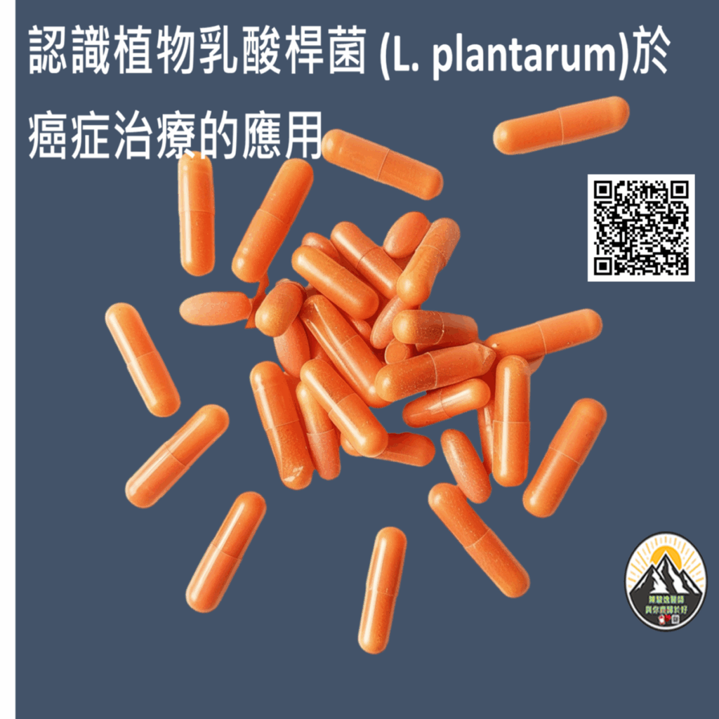 202508060101 1