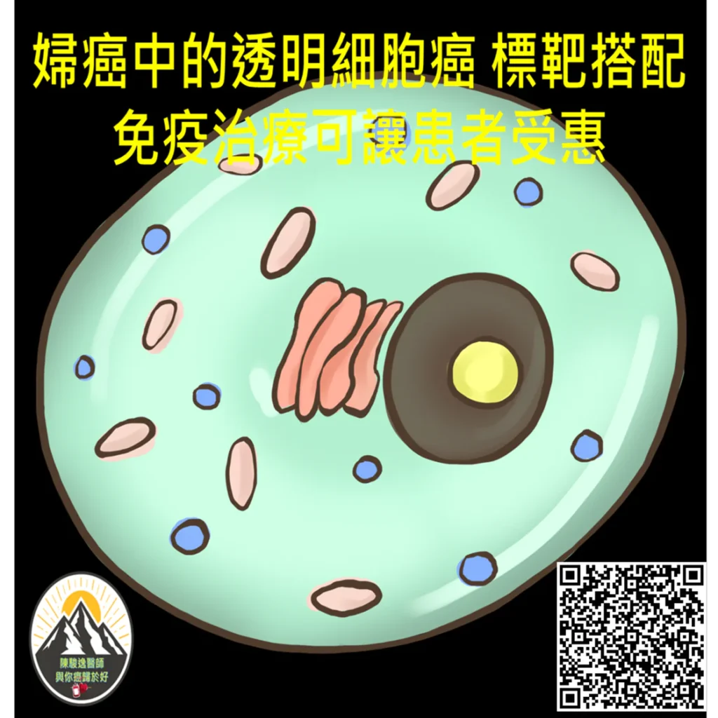 婦癌中的透明細胞癌 標靶搭配免疫治療可讓患者受惠 2 20260303 1