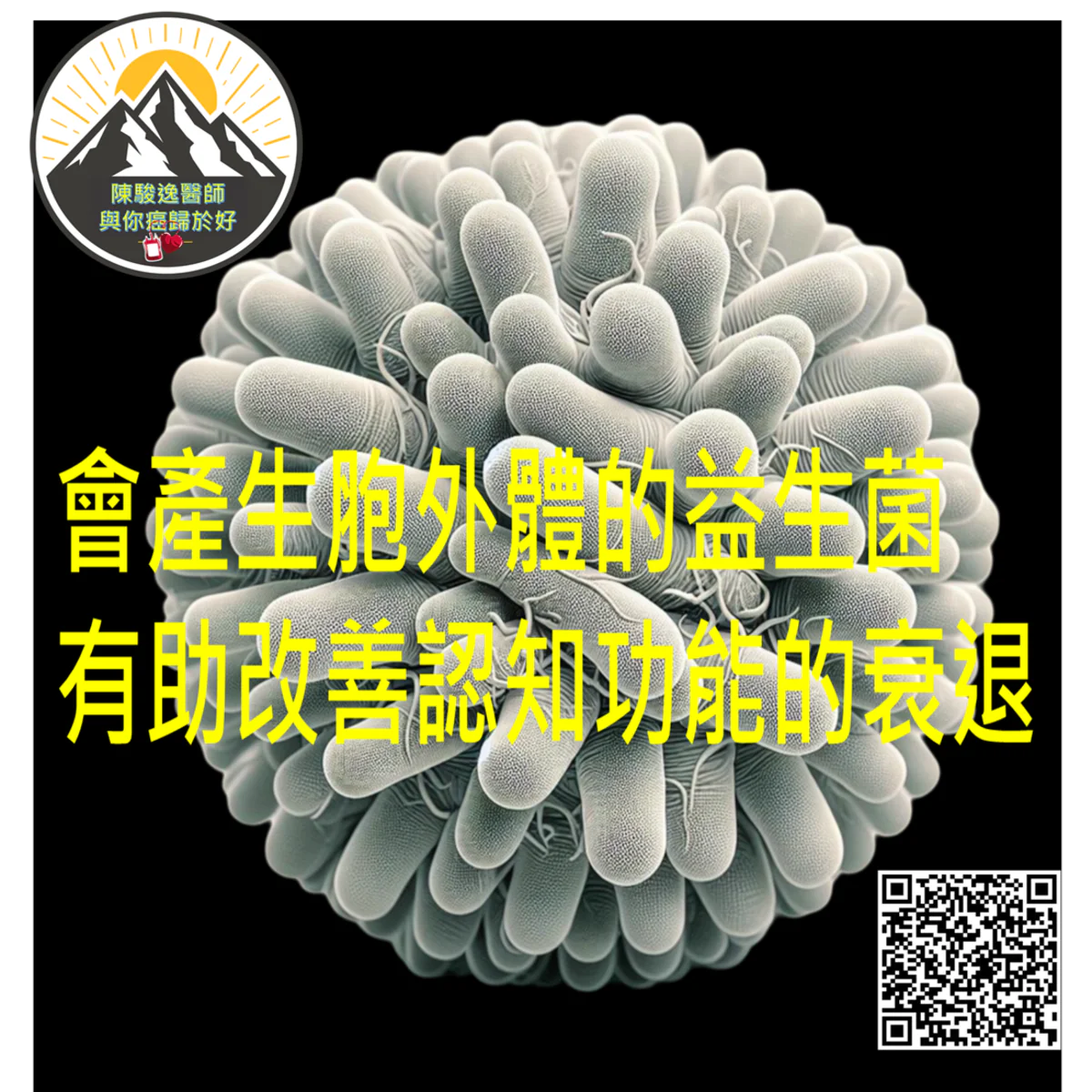 會產生胞外體的益生菌 有助改善認知功能的衰退