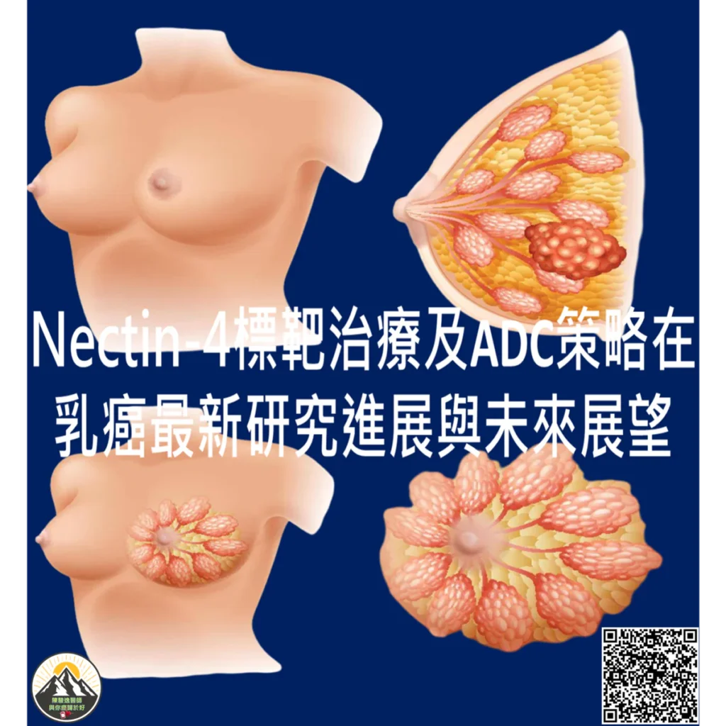 Nectin-4標靶治療及ADC策略在乳癌最新研究進展與未來展望 2 2026041402 1