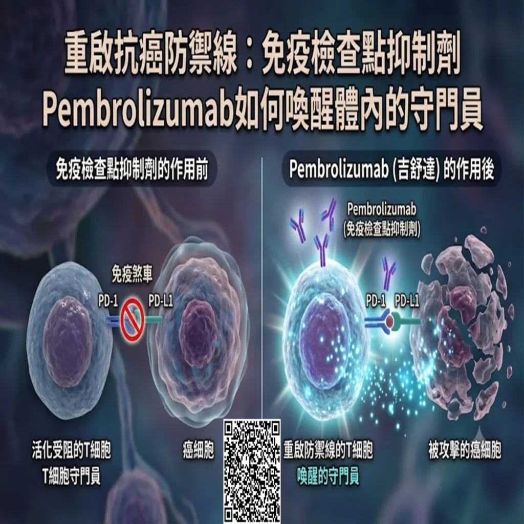 重啟抗癌防禦線:免疫檢查點抑制劑Pembrolizumab如何喚醒體內的守門員 2 0001 19