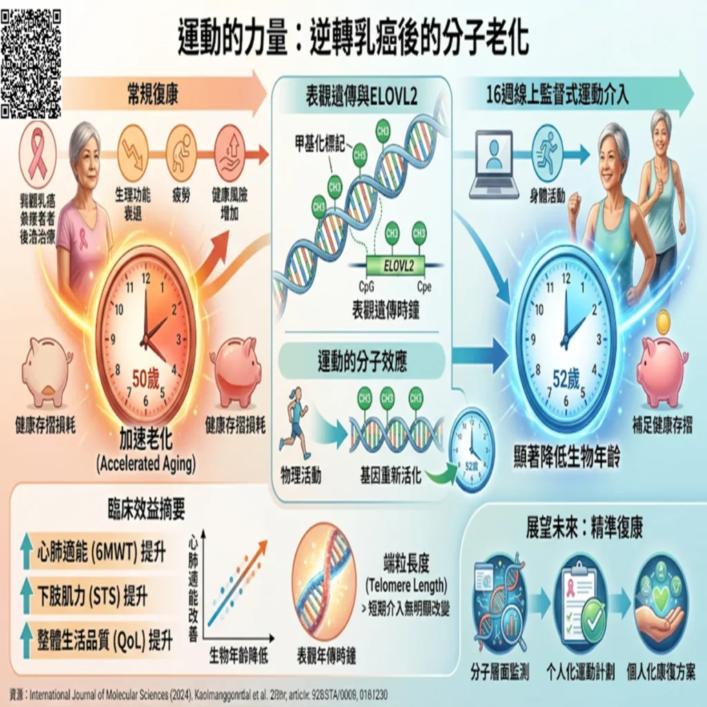 運動介入對乳癌治療患者表觀遺傳年齡之影響:從分子機制到臨床實踐 2 0001 4 2