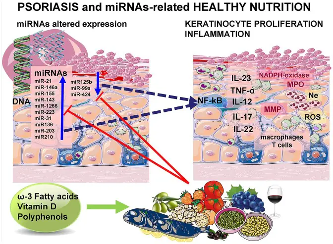 用日常飲食微調微RNA,重塑乾癬與發炎體質 1 0001