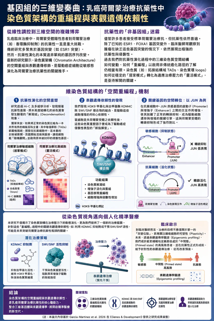 基因組的三維變奏曲:乳癌荷爾蒙治療抗藥性中染色質架構的重編程與表觀遺傳依賴性 3 0003 11