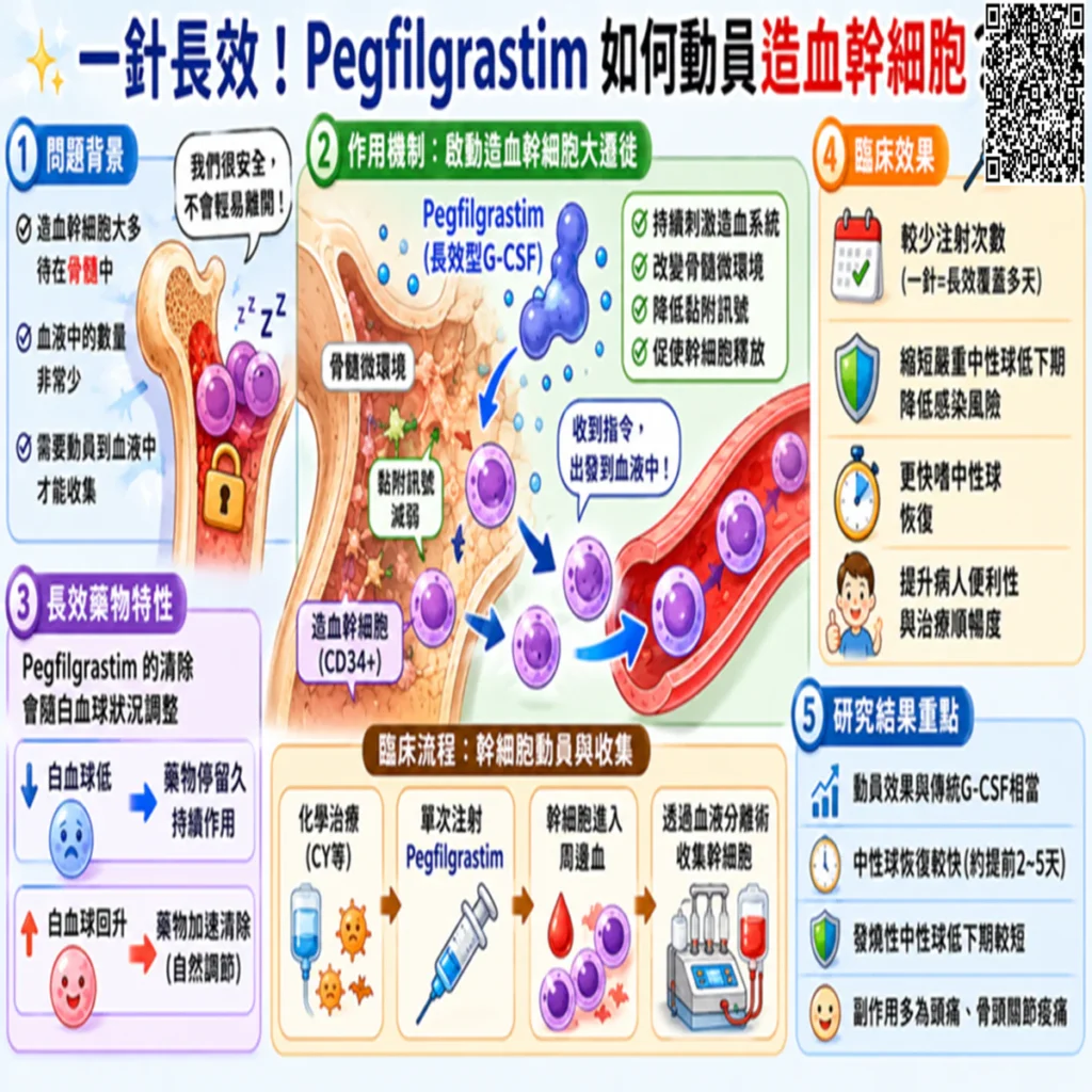 認識 Pegfilgrastim 如何啟動造血幹細胞「大遷徙」 2 0003 3 1