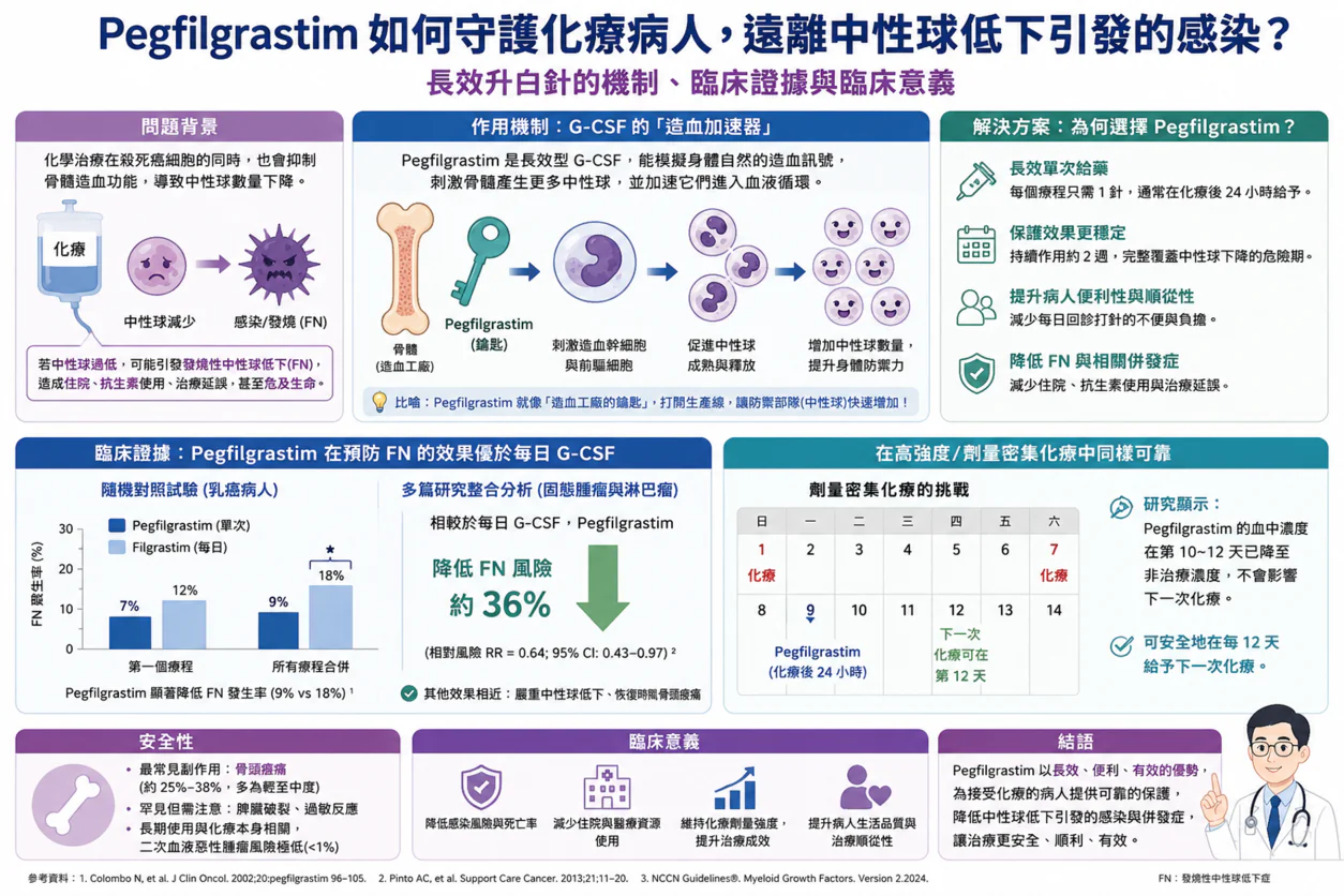 化療後的白血球「補給隊」-Pegfilgrastim 如何降低發燒性嗜中性白血球低下症風險? 1 0003 3 2