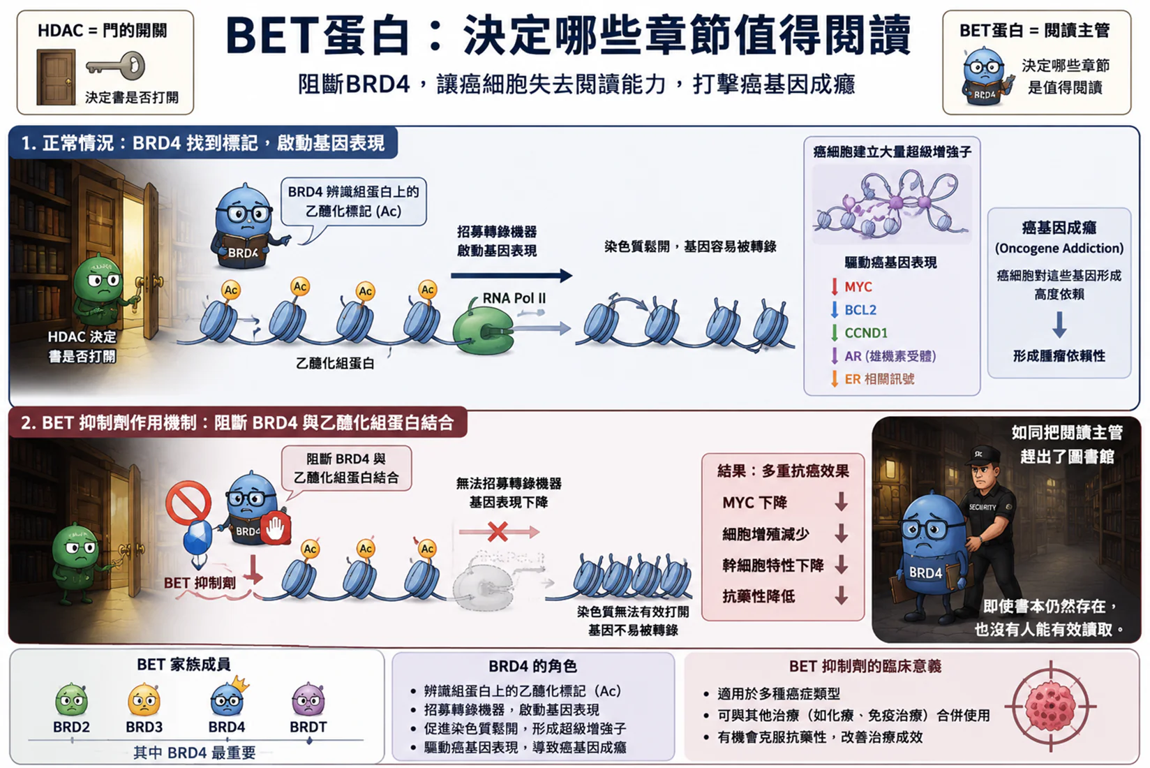 從表觀遺傳調控基因開關到抗藥性逆轉 談BET 抑制劑與HDAC 抑制劑於癌症治療的角色 1 0008 23