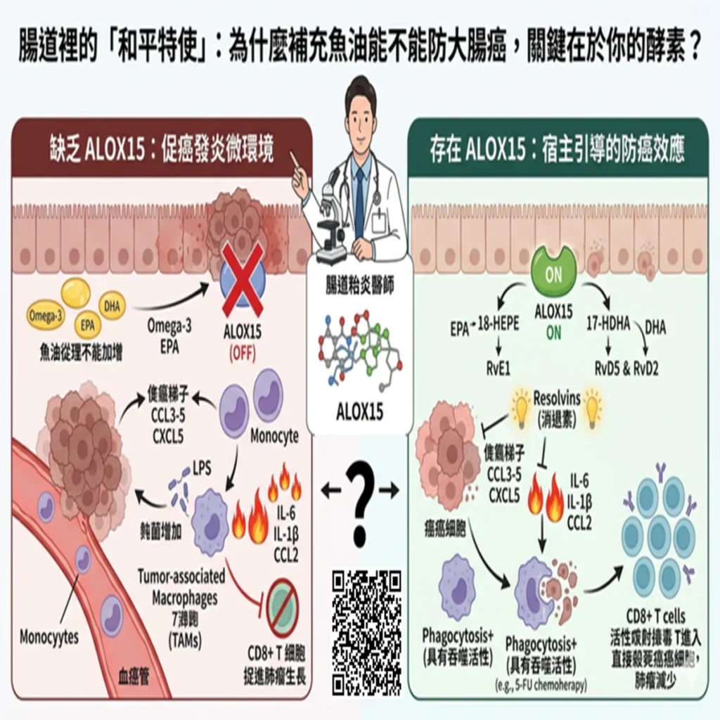 為什麼補充魚油不能防大腸癌,關鍵在於你的酵素? 2 006 1 1 1