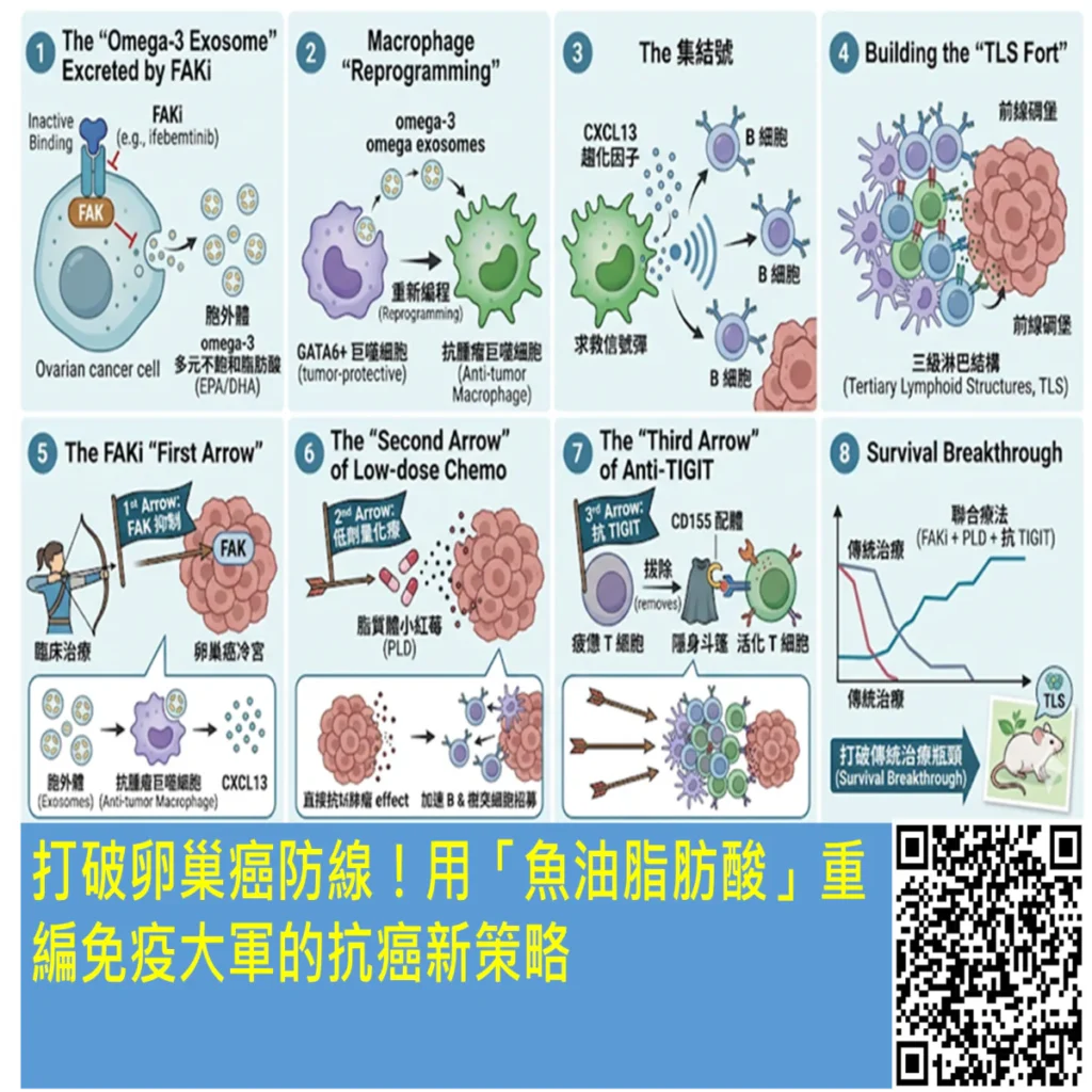 打破卵巢癌防線!用「魚油脂肪酸」重編免疫大軍的抗癌新策略 2 2026060104 1