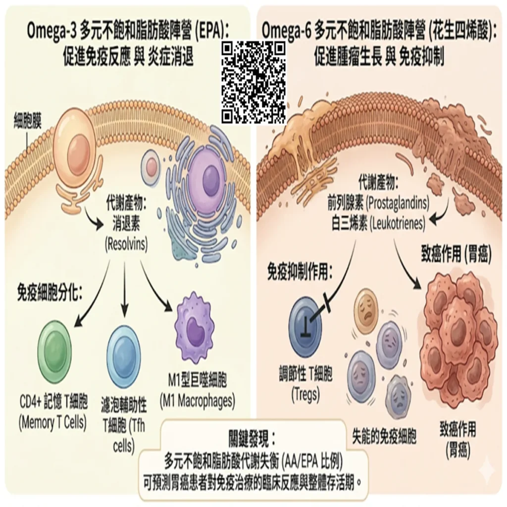 當脂肪酸遇上免疫治療:揭開胃癌微環境中的「好油」與「壞油」之戰 2 2026060211 1