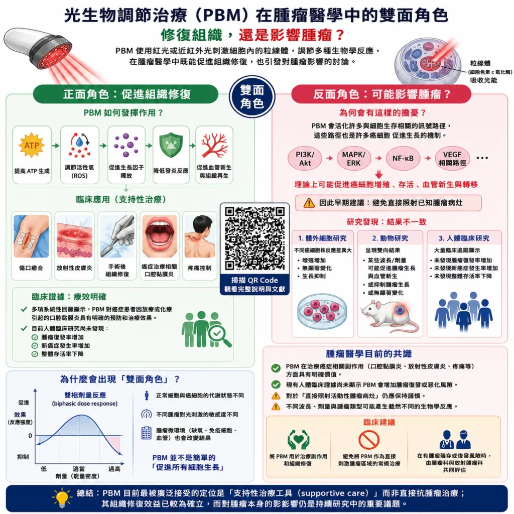 光生物調節療法(PBM)在腫瘤醫學中的雙面角色:修復組織,還是影響腫瘤? 2 ChatGPT Image 2026年6月6日 上午08 21 39 2 1