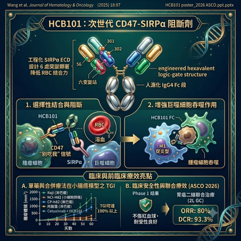 破譯免疫檢查點的「請勿吃我」訊號:次世代 CD47-SIRPα 抑制劑-HCB101 的臨床與前臨床全景 2 0008 19