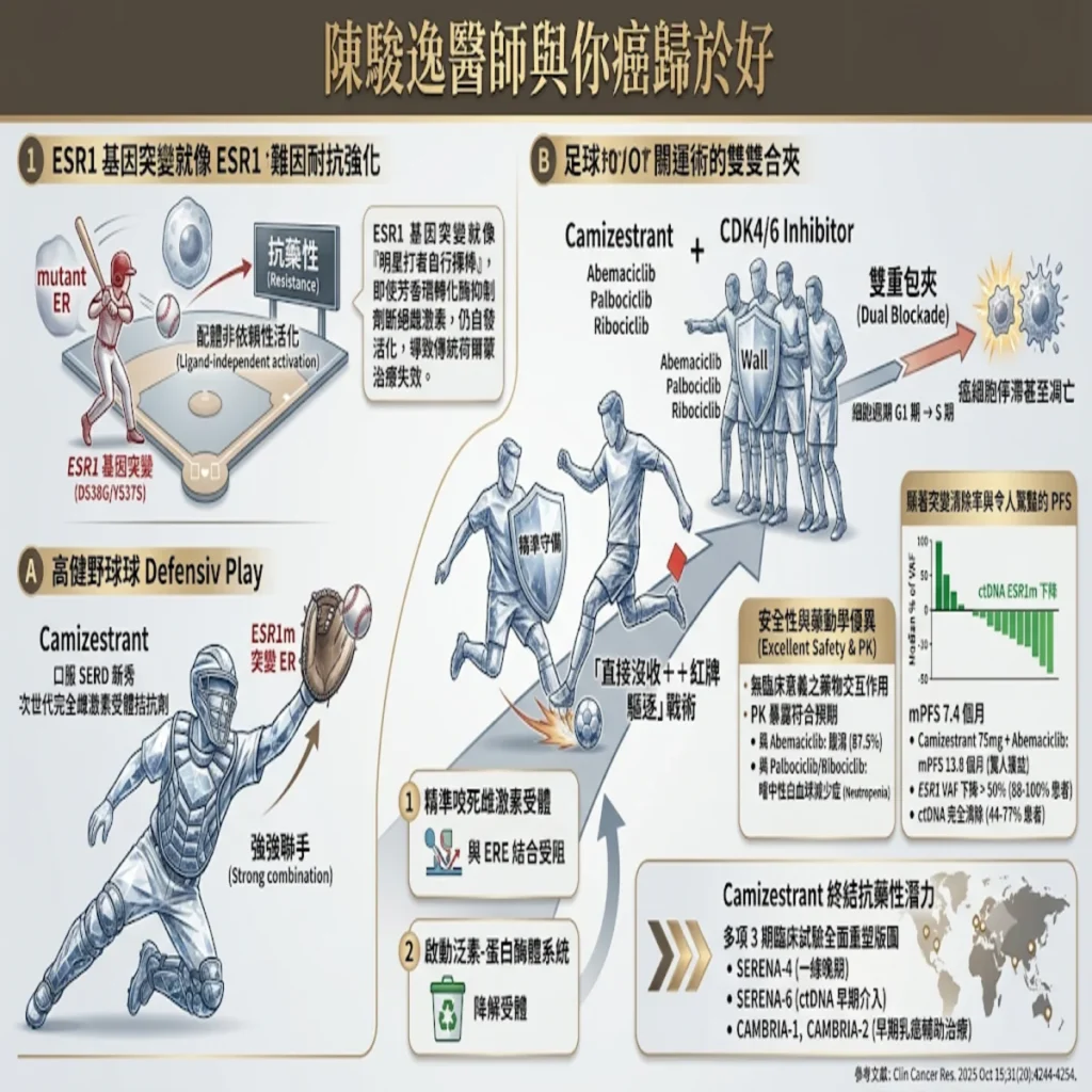 強棒聯手與精準守備:Camizestrant 協同 CDK4/6 抑制劑調控荷爾蒙受體陽性/HER 2陰性晚期乳癌抗藥性之全新賽局 2 0010 9