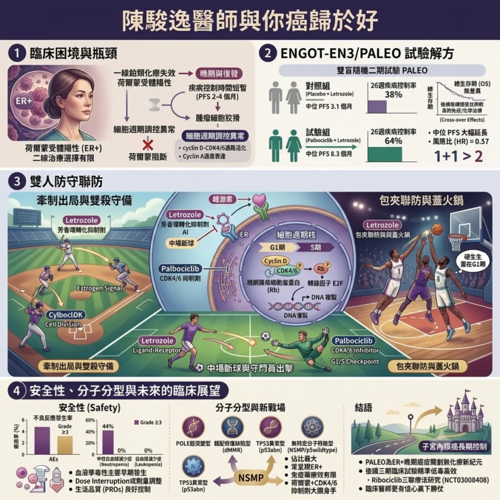 當雌激素遇上CDK4/6 抑制劑與芳香環轉化酶抑制劑的「雙人防守聯防」 2 0012 12