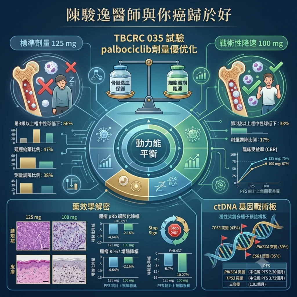 戰術性的降速調度:從 TBCRC 035 試驗看 Palbociclib 劑量優化與細胞週期阻滯的動態平衡 2 0016 4