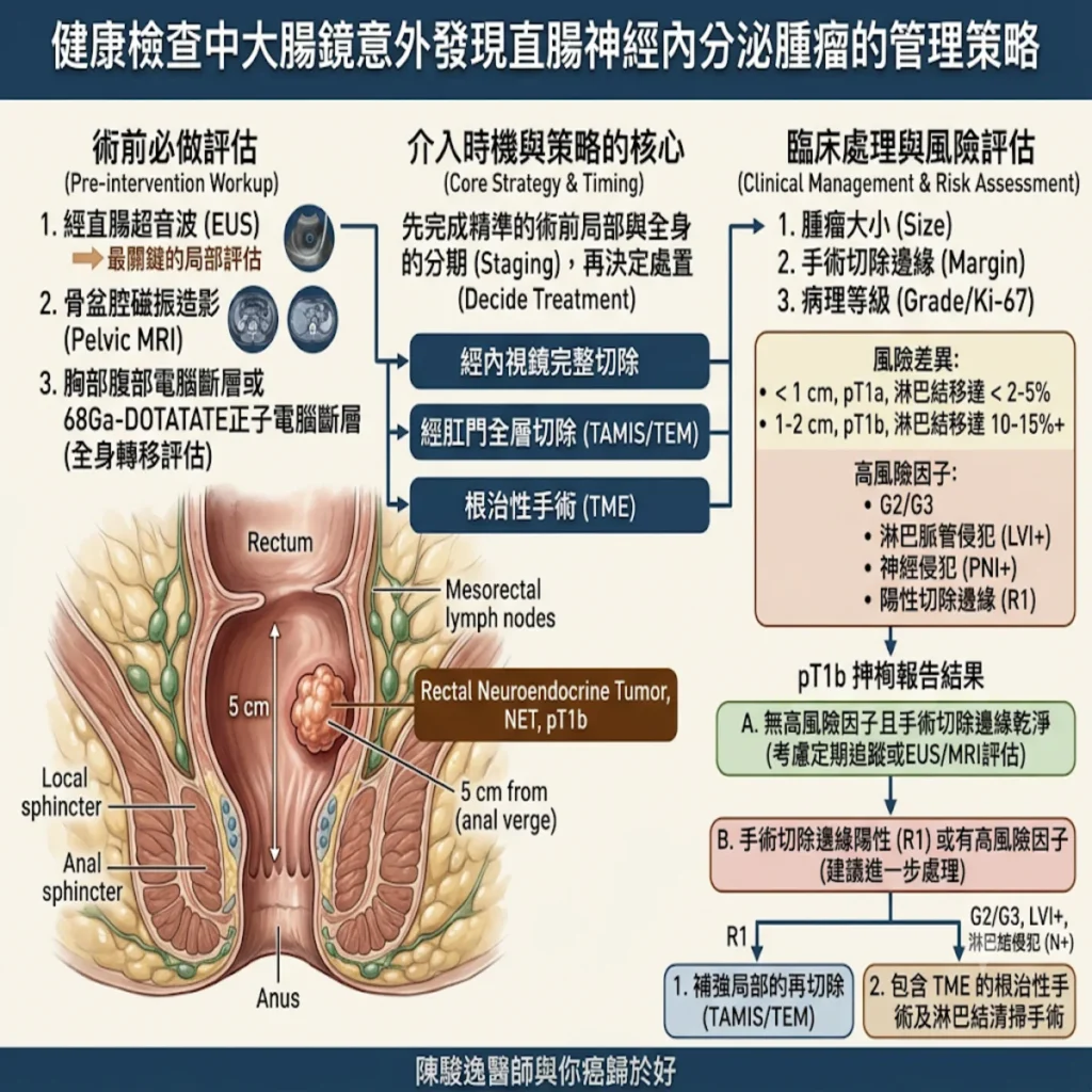 健康檢查中的大腸鏡意外發現直腸的神經內分泌腫瘤 該怎麼辦? 2 0013 12