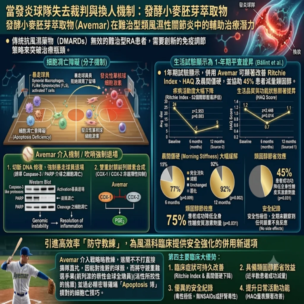 當發炎球隊失去裁判與換人機制:發酵小麥胚芽萃取物(Avemar)在難治型類風濕性關節炎中的輔助治療潛力 1 0019 34