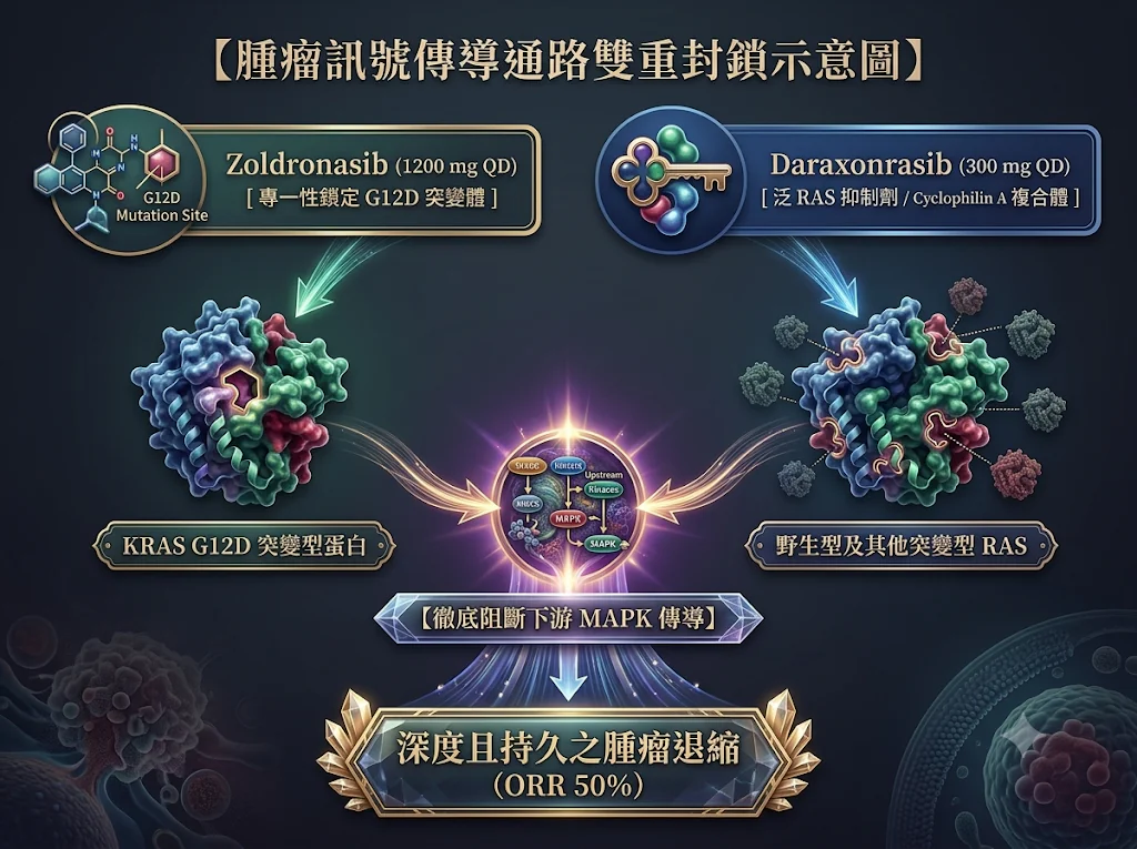 突破「癌王」後線瓶頸!Zoldronasib 聯合手Daraxonrasib 於 KRAS G12D 突變轉移性胰臟癌展現 50%治療反應率的強勁潛力 1 0019 4