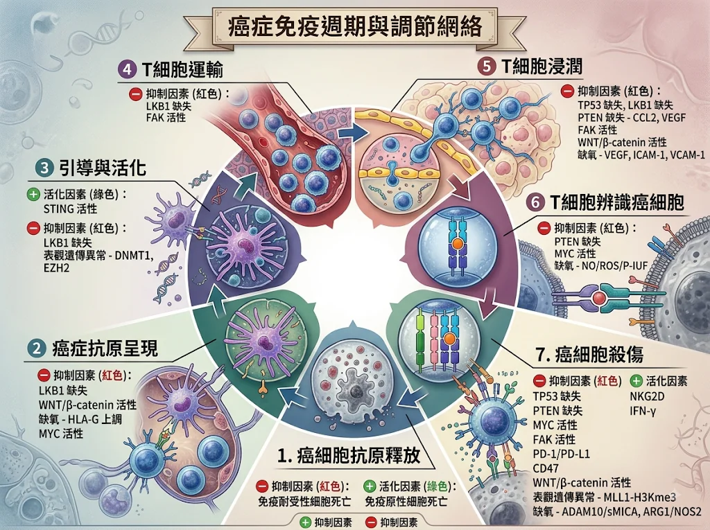突破「癌王」築起的鋼鐵地堡:從地緣政治戰局看胰臟癌免疫逃脫機制與精密精準醫療攻防 1 0019 7