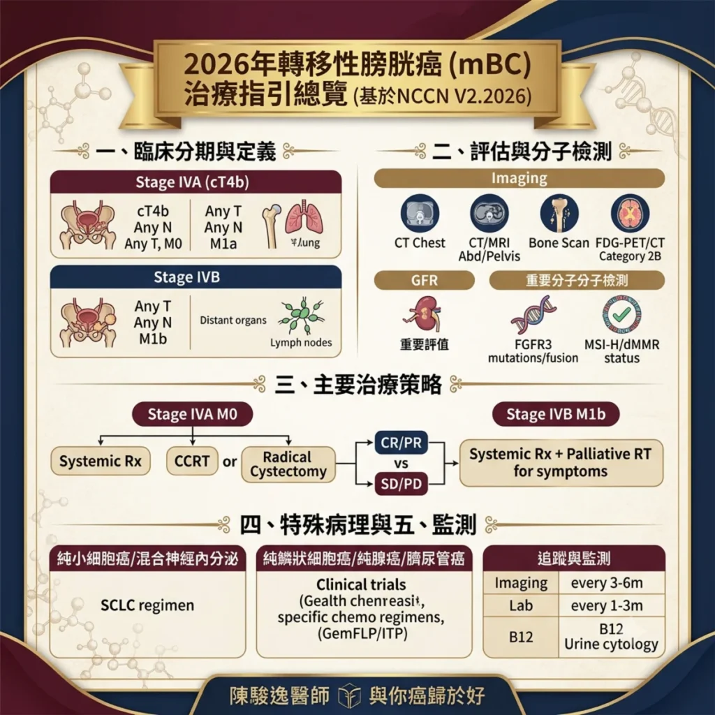 轉移性膀胱癌(Metastatic Bladder / Urothelial Cancer)治療指引總覽 2026年觀點 2 12 1