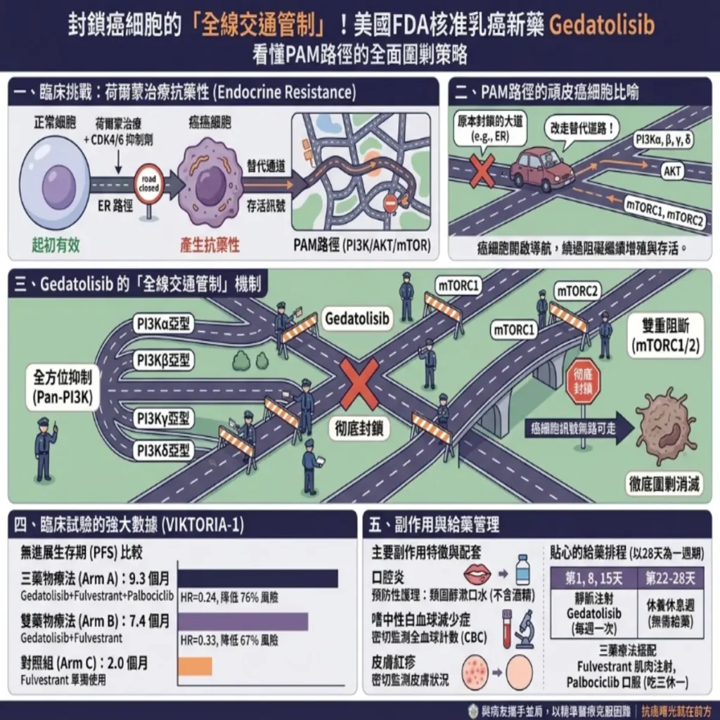 封鎖癌細胞的「全線交通管制」!美國FDA核准乳癌新藥Gedatolisib(商品名:Revtorpyk):看懂PAM路徑的全面圍剿策略 2 0001 8