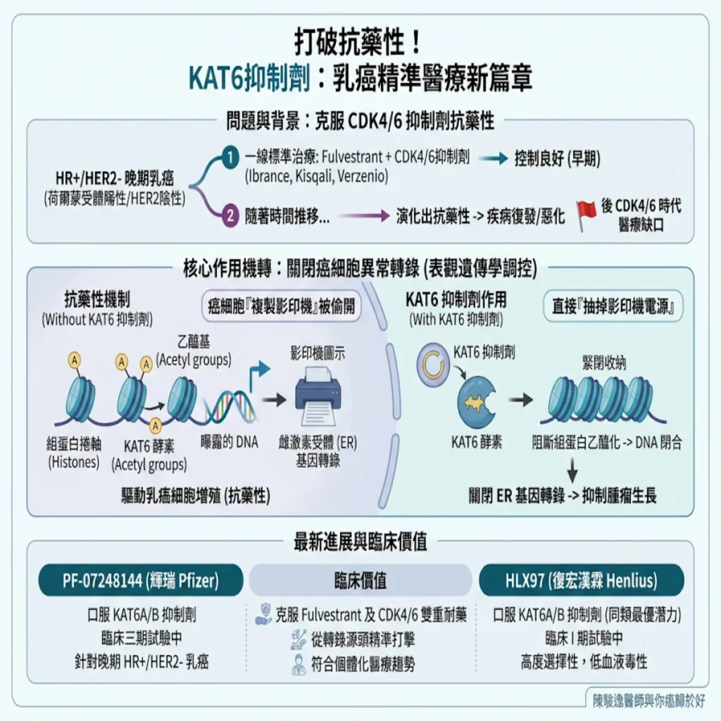 破解乳癌抗藥性困局!下一代精準醫療「KAT6抑制劑」如何成為轉錄層面的魔法子彈 6 0021 52