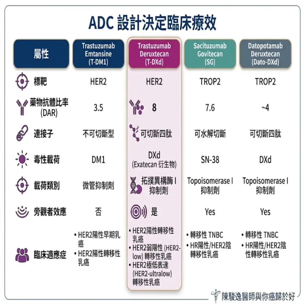 解碼精準抗癌「生化飛彈」:從ADC結構看懂新一代乳癌精準治療 7 0021 55