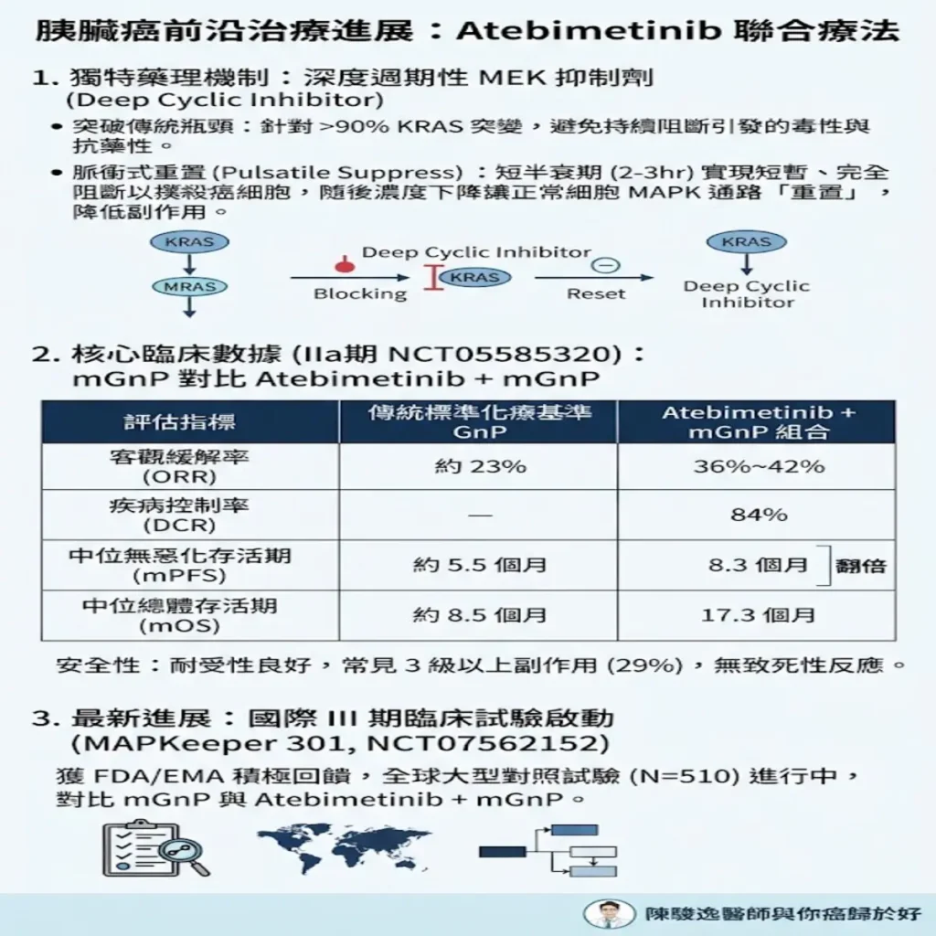 胰臟癌的前沿治療進展-Atebimetinib 2 00001 2