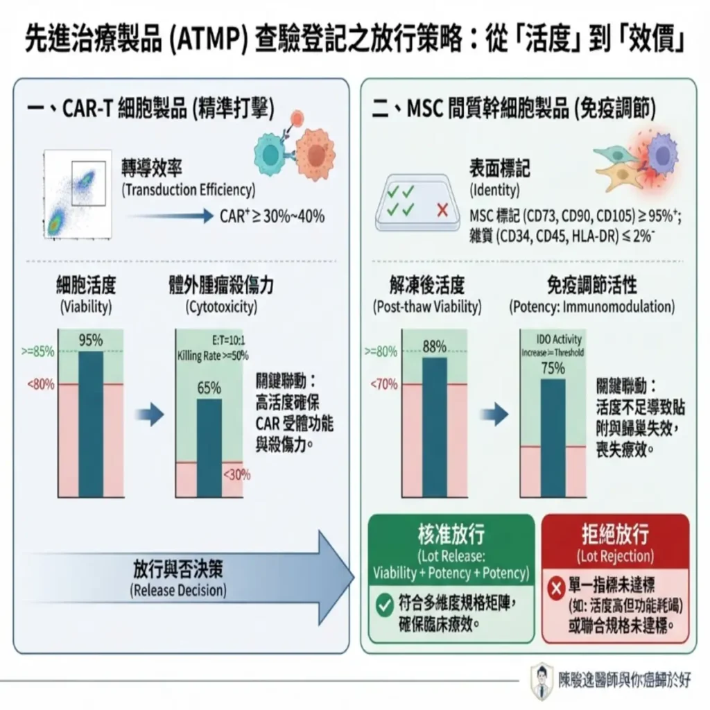 從「活著」到「上場打贏勝仗」:CAR-T 與 MSC 查驗登記(IND/NDA)中的活度與效價矩陣放行策略 2 00001 6