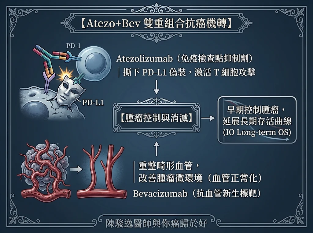 點燃晚期肝癌治癒希望:從「無藥可醫」到「轉換手術」的跨時代逆轉勝 1 00005 4