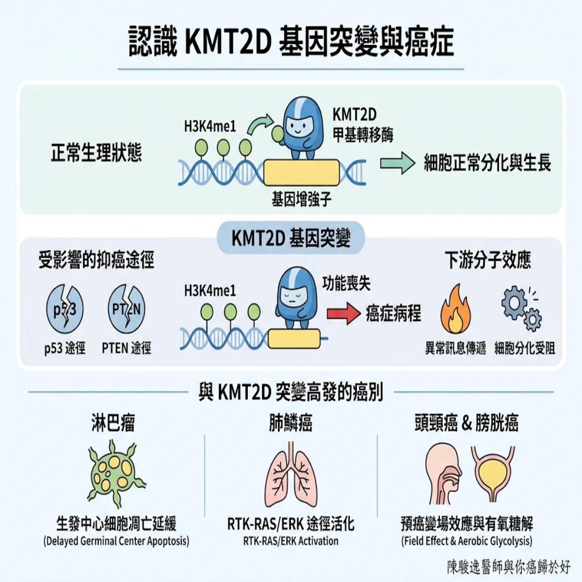 陳駿逸醫師 與你癌歸於好 7 00005 58
