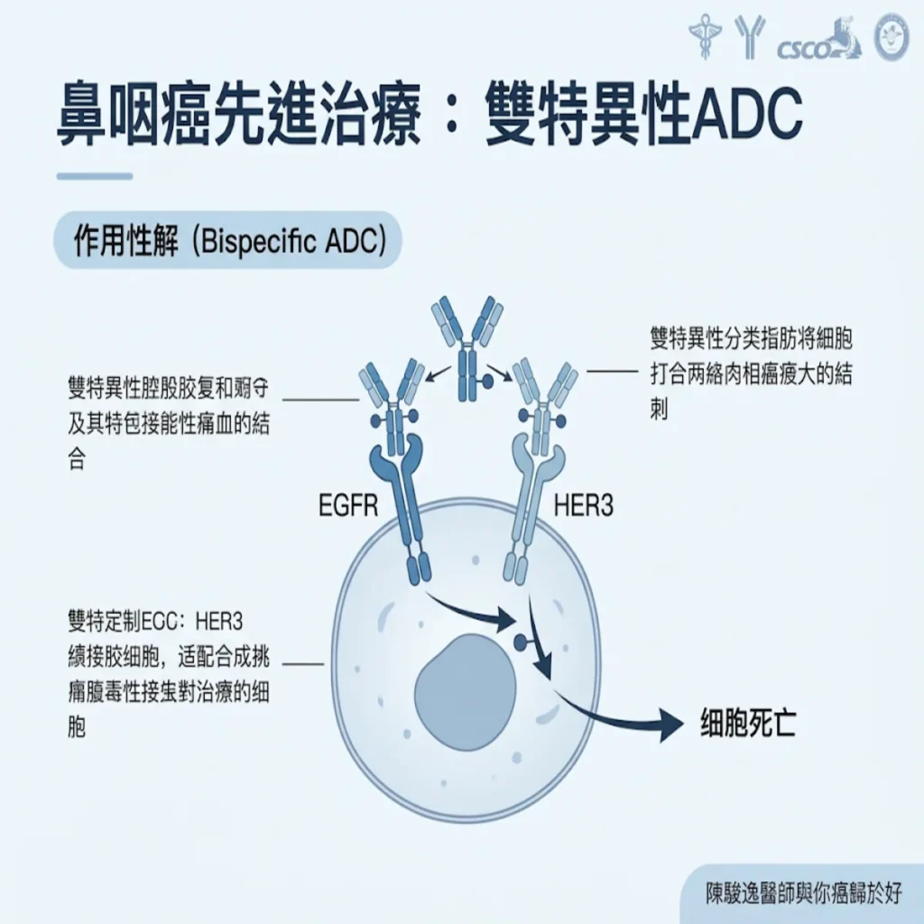 破解後線治療的防線:雙抗 ADC(倫康依隆妥單抗 / Iza-bren)改寫鼻咽癌新紀元 2 00005 82