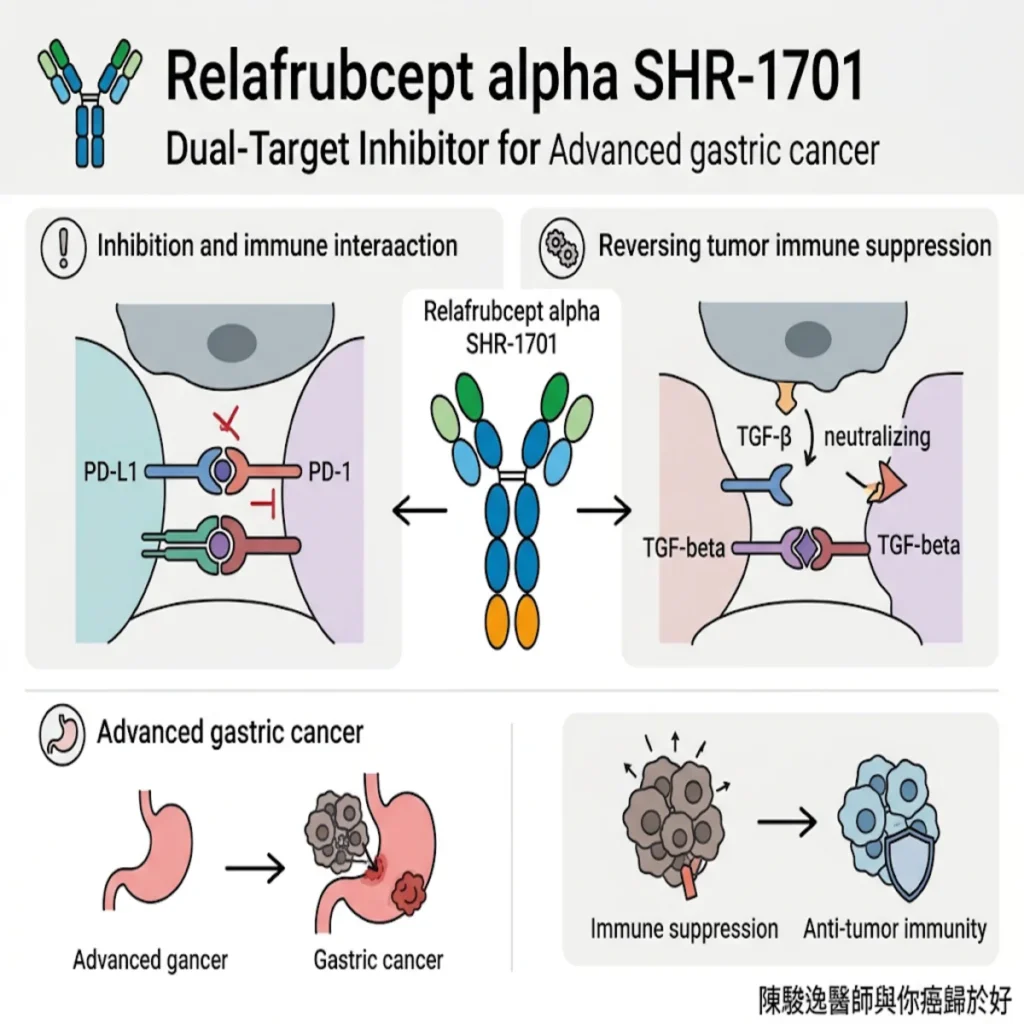 瑞拉芙普α(Relafrubcept α,SHR-1701) 在 RELIGHT 胃癌研究中的核心療效 2 00005 86