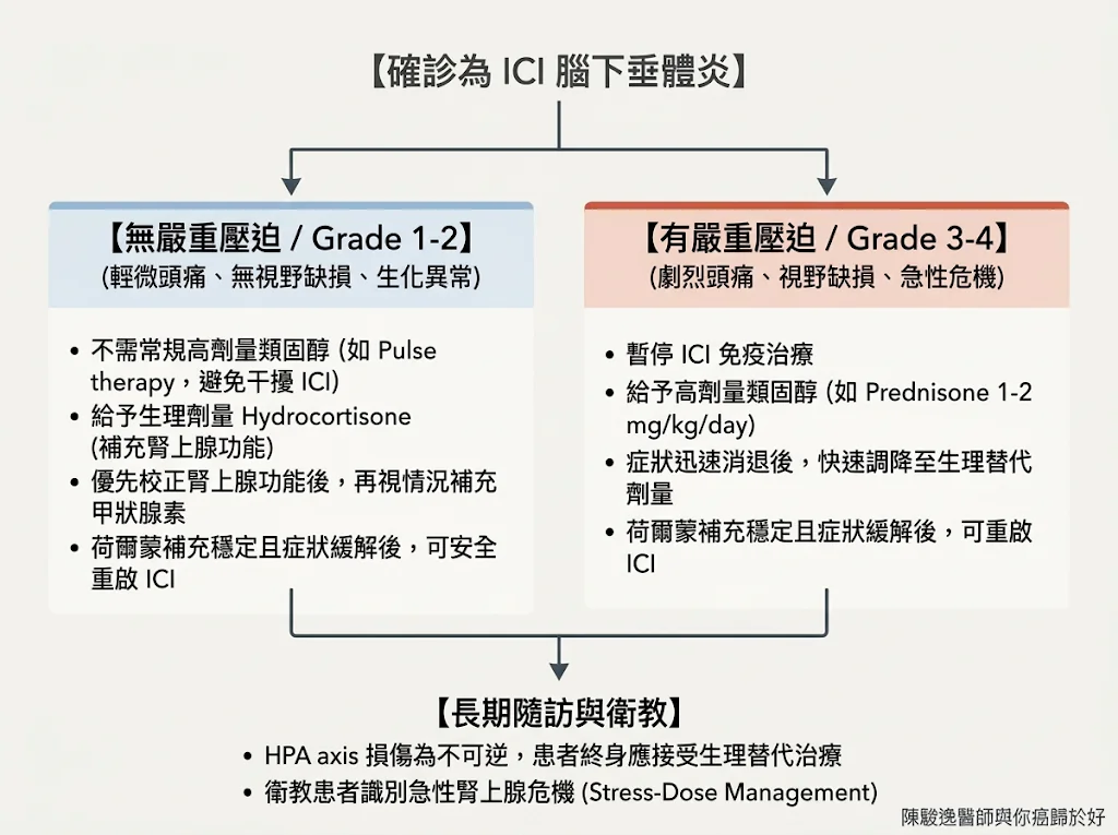 免疫檢查點抑制劑副作用之腦下垂體炎的臨床實務:從生理機制、精準診斷到荷爾蒙置換策略 2 00022 12