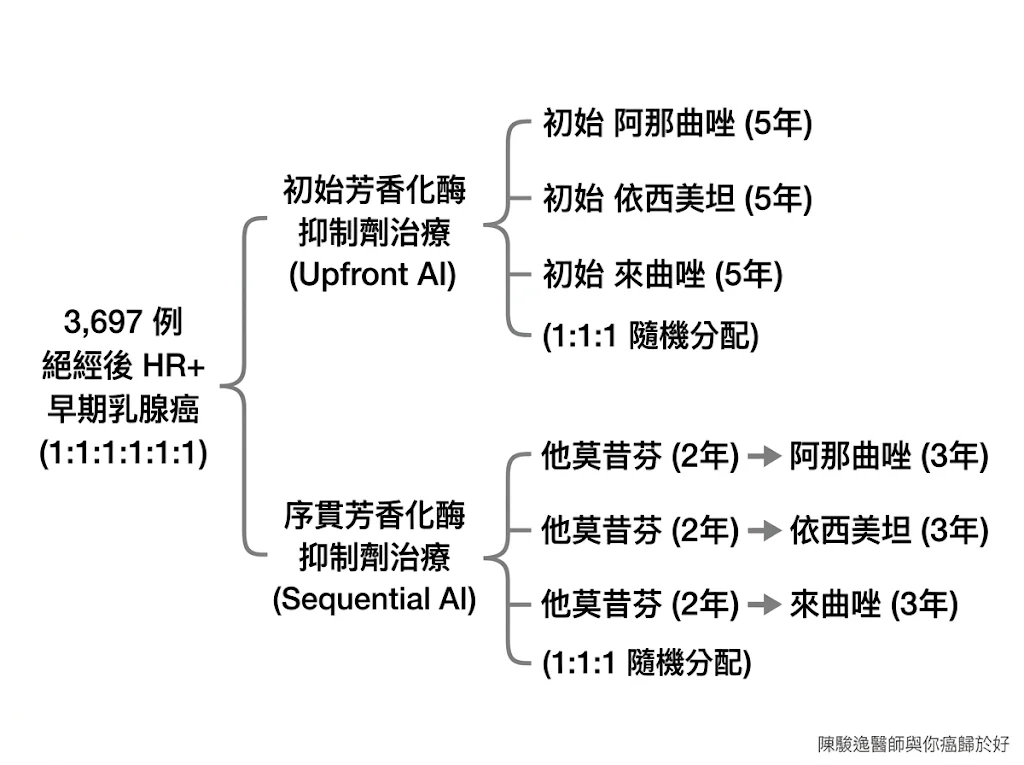GIM3 FATA 試驗最終分析:停經後荷爾蒙受體陽性早期乳癌之荷爾蒙治療策略與芳香環酶抑制劑藥物選擇的關鍵轉捩點 1 00022 52