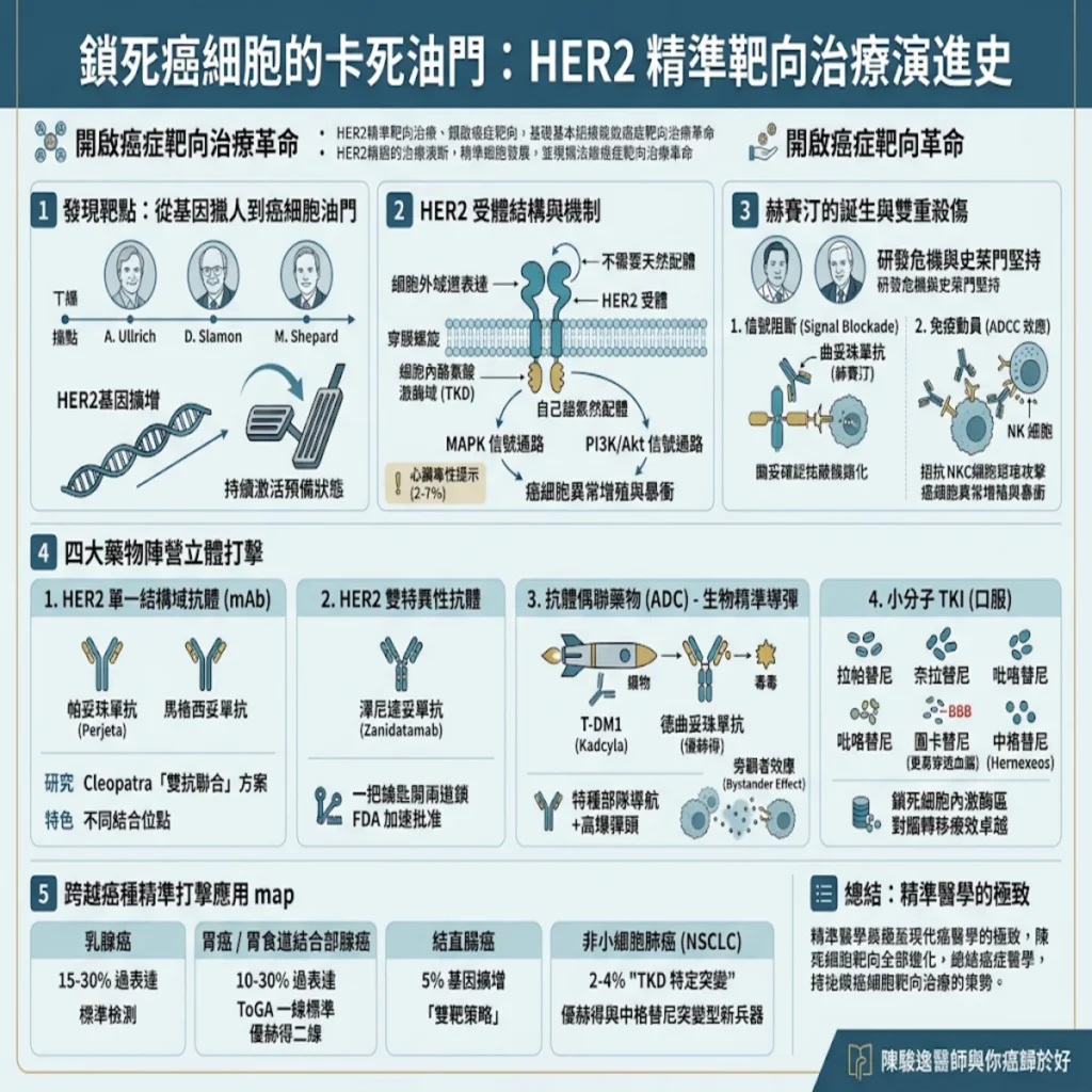 鎖死癌細胞的卡死油門:腫瘤科醫師帶你看懂 HER2 精準標靶治療演進史 2 00022 8