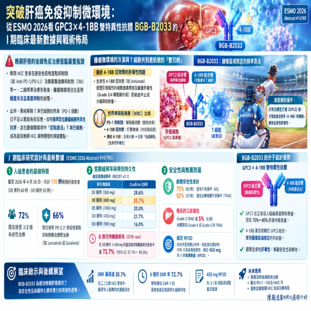 突破肝癌免疫抑制微環境:從ESMO 2026看GPC3×4-1BB雙特異性抗體 BGB-B2033 的早期臨床最新數據與戰術佈局 2 00022 86