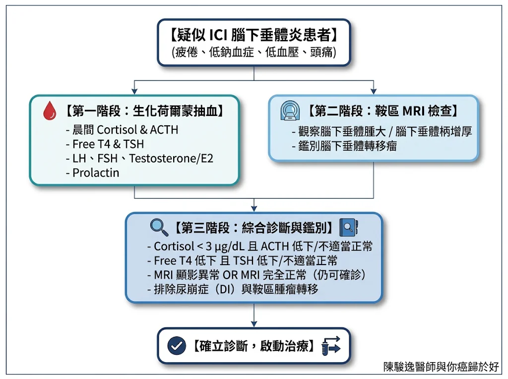 免疫檢查點抑制劑副作用之腦下垂體炎的臨床實務:從生理機制、精準診斷到荷爾蒙置換策略 1 00022