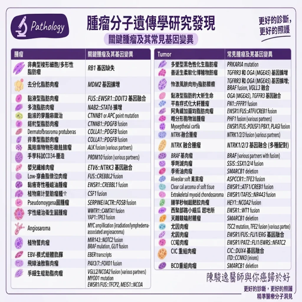 解鎖腫瘤密碼:從軟組織肉瘤與分子遺傳變異,看精準醫療如何為癌症治療開創新局 2 0021 2026 10 13T152344.650