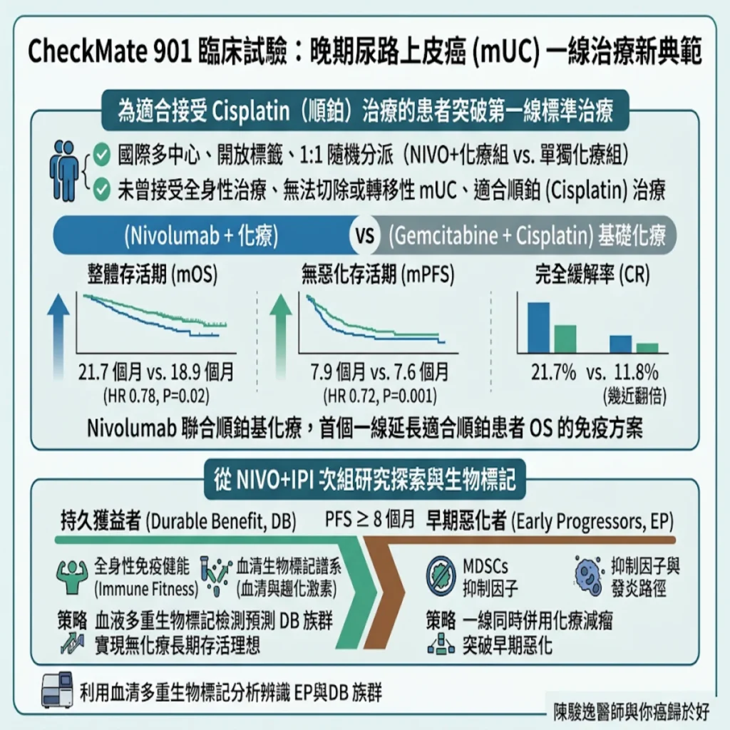 戰勝晚期尿路上皮癌的新曙光:CheckMate 901 臨床試驗解析與免疫化療新策略 2 0021 2026 10 13T153042.288