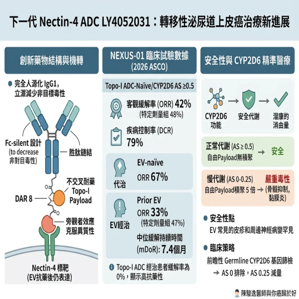 突破抗藥瓶頸的精準生物飛彈:下一代 Nectin-4 ADC 藥物 LY4052031 的臨床解密 2 0021 2026 10 13T153340.680
