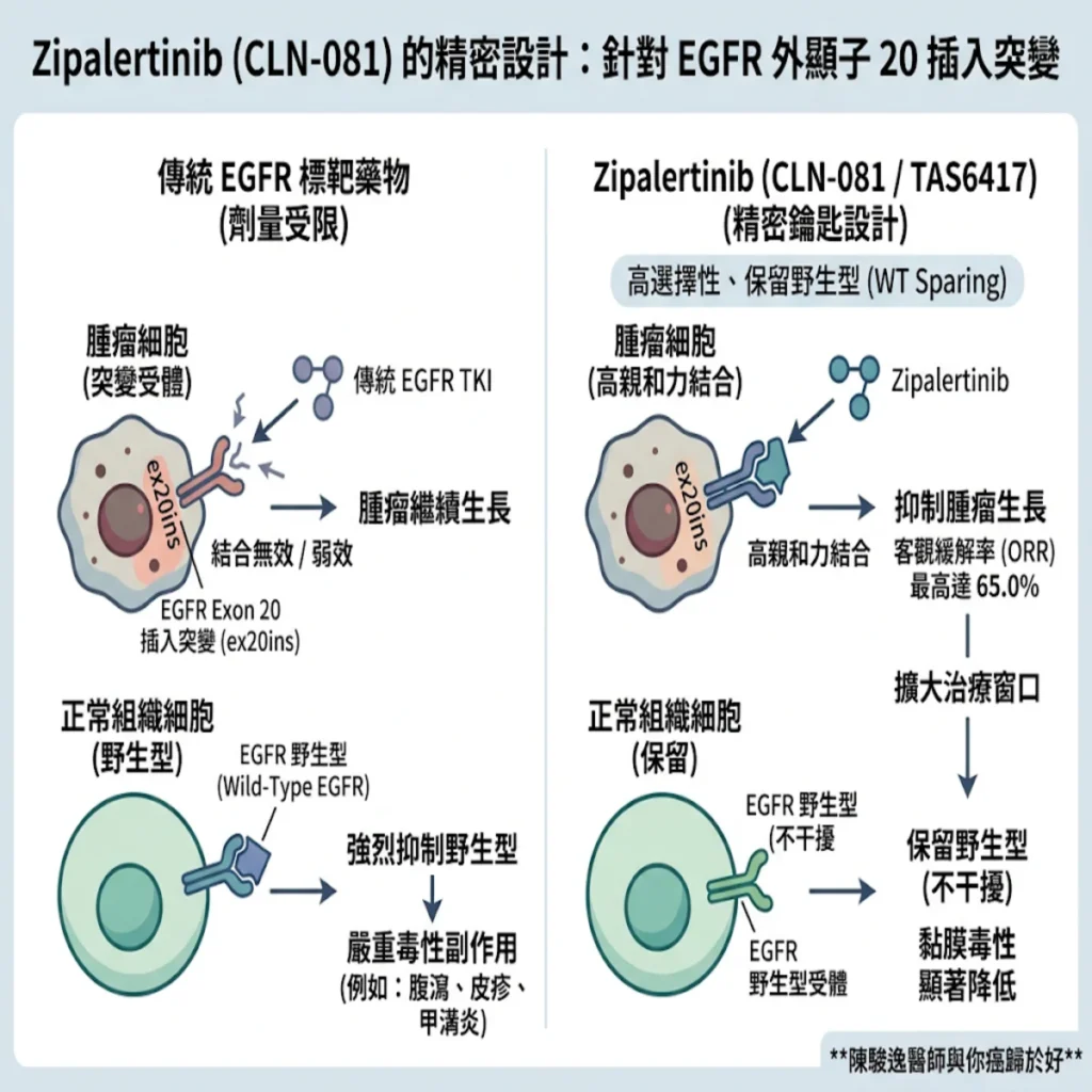 鎖定難治肺癌「外顯子 20 插入突變」:新型口服標靶藥物 Zipalertinib(CLN-081)的最新臨床進展與治療觀點 2 0021 2026 10 14T143547.240
