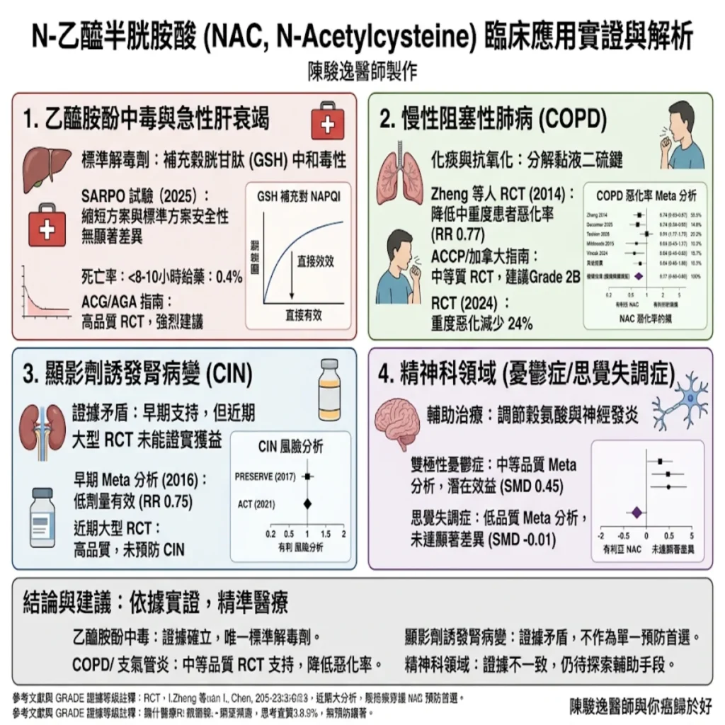 止痛藥吃過頭、肺病咳不停?老藥乙醯半胱胺酸在臨床上的多重角色與實證全解析 2 0021 90
